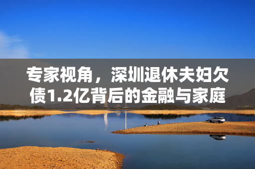专家视角，深圳退休夫妇欠债1.2亿背后的金融与家庭伦理考量