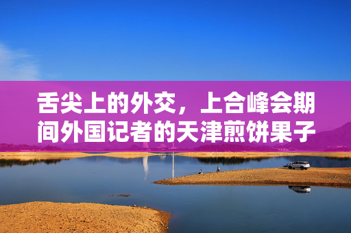 舌尖上的外交，上合峰会期间外国记者的天津煎饼果子奇遇