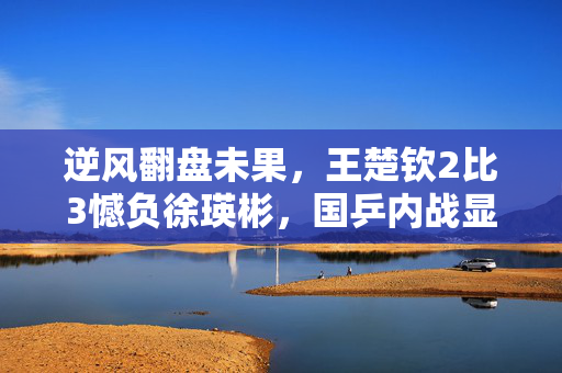 逆风翻盘未果，王楚钦2比3憾负徐瑛彬，国乒内战显露新老交替暗流
