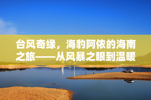 台风奇缘，海豹阿侬的海南之旅——从风暴之眼到温暖人心的新家园