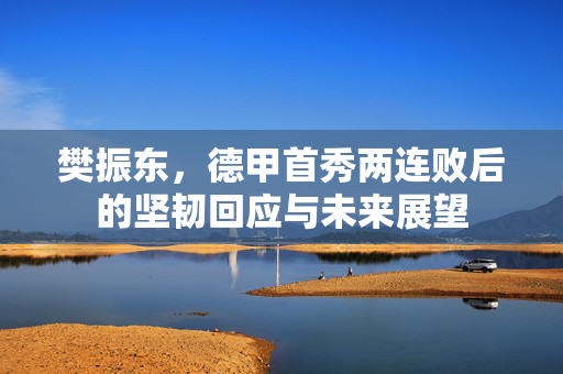 樊振东，德甲首秀两连败后的坚韧回应与未来展望