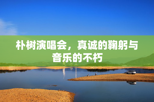 朴树演唱会，真诚的鞠躬与音乐的不朽