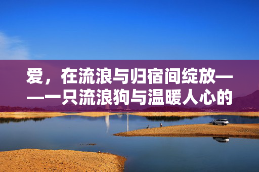 爱，在流浪与归宿间绽放——一只流浪狗与温暖人心的商店奇缘