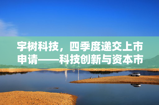宇树科技，四季度递交上市申请——科技创新与资本市场的双重飞跃