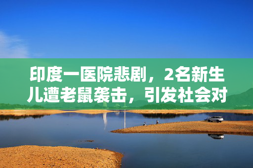 印度一医院悲剧，2名新生儿遭老鼠袭击，引发社会对卫生安全的深思