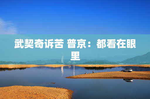 武契奇诉苦 普京：都看在眼里