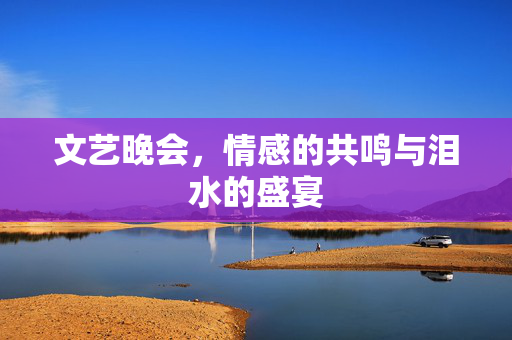 文艺晚会，情感的共鸣与泪水的盛宴