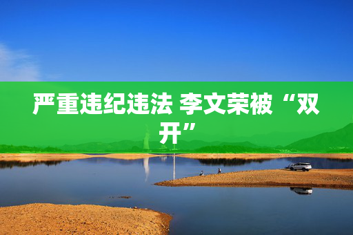严重违纪违法 李文荣被“双开”