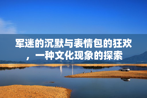 军迷的沉默与表情包的狂欢，一种文化现象的探索