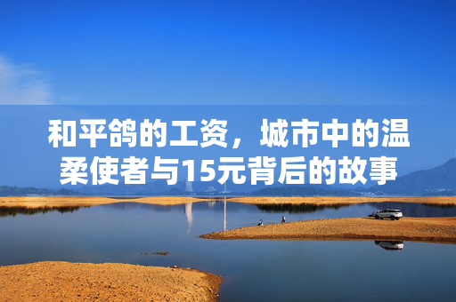 和平鸽的工资，城市中的温柔使者与15元背后的故事