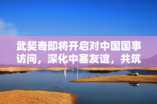 武契奇即将开启对中国国事访问，深化中塞友谊，共筑未来合作新篇章