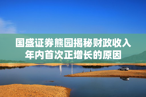 国盛证券熊园揭秘财政收入年内首次正增长的原因