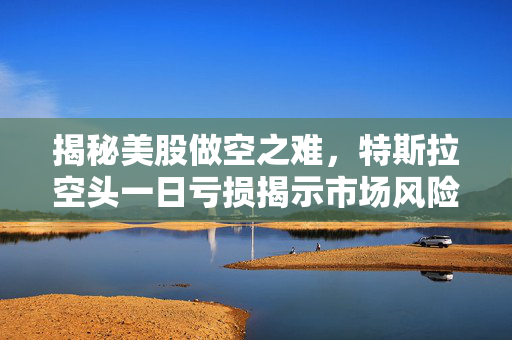 揭秘美股做空之难，特斯拉空头一日亏损揭示市场风险