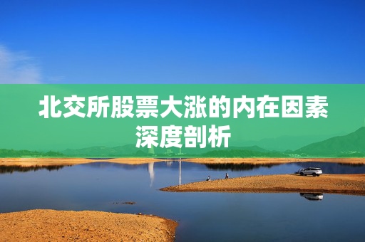 北交所股票大涨的内在因素深度剖析