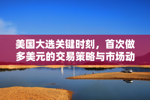 美国大选关键时刻，首次做多美元的交易策略与市场动向分析
