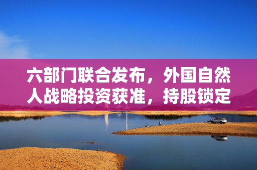 六部门联合发布，外国自然人战略投资获准，持股锁定新篇章