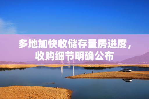 多地加快收储存量房进度，收购细节明确公布
