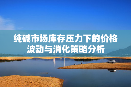 纯碱市场库存压力下的价格波动与消化策略分析