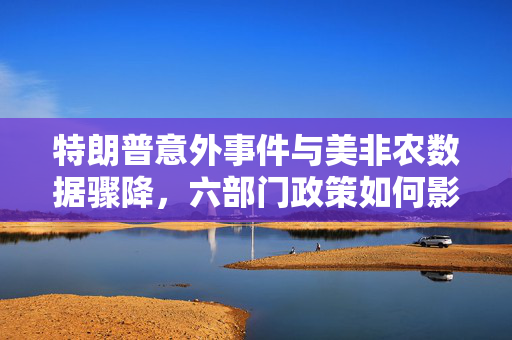 特朗普意外事件与美非农数据骤降，六部门政策如何影响内外市场行情？