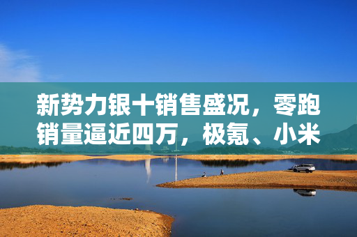新势力银十销售盛况，零跑销量逼近四万，极氪、小米等创新高