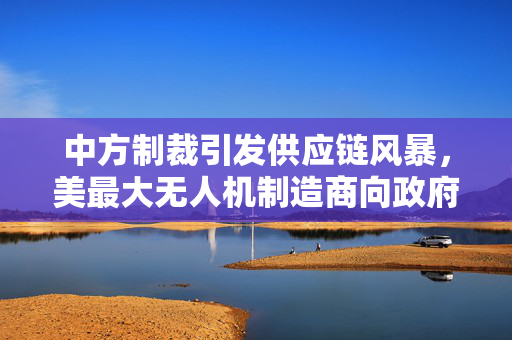 中方制裁引发供应链风暴，美最大无人机制造商向政府诉苦
