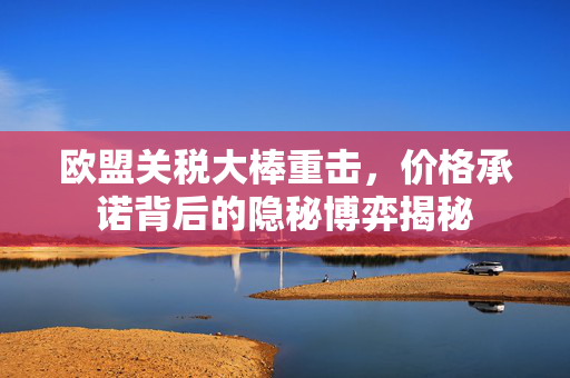 欧盟关税大棒重击，价格承诺背后的隐秘博弈揭秘