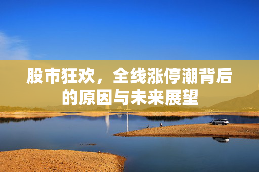 股市狂欢，全线涨停潮背后的原因与未来展望