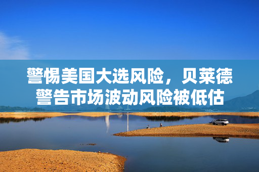 警惕美国大选风险，贝莱德警告市场波动风险被低估