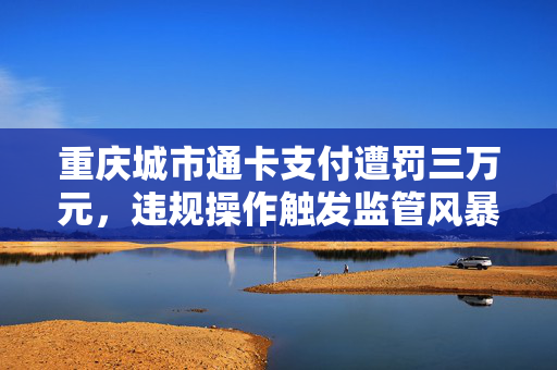 重庆城市通卡支付遭罚三万元，违规操作触发监管风暴