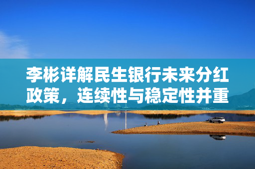 李彬详解民生银行未来分红政策，连续性与稳定性并重