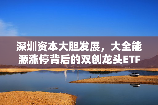深圳资本大胆发展，大全能源涨停背后的双创龙头ETF（588330）的崛起之路
