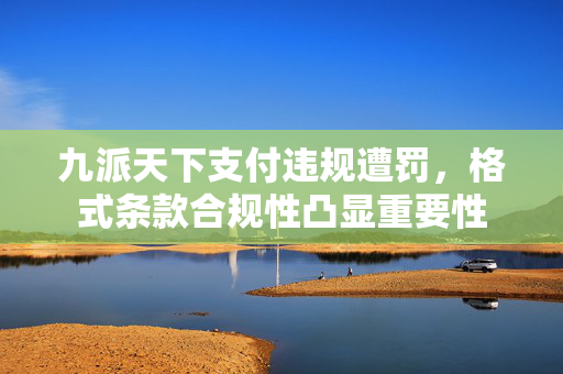 九派天下支付违规遭罚，格式条款合规性凸显重要性