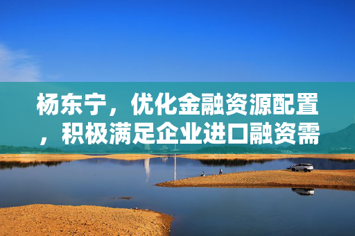 杨东宁，优化金融资源配置，积极满足企业进口融资需求的进出口银行领航者
