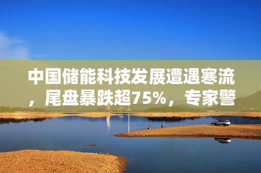 中国储能科技发展遭遇寒流，尾盘暴跌超75%，专家警示跨界风险
