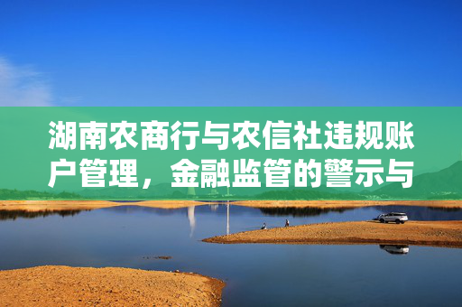 湖南农商行与农信社违规账户管理，金融监管的警示与反思