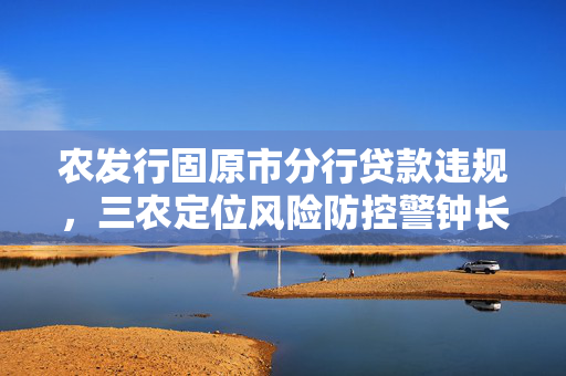 农发行固原市分行贷款违规，三农定位风险防控警钟长鸣