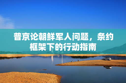 普京论朝鲜军人问题，条约框架下的行动指南