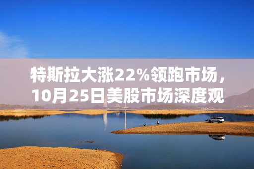 特斯拉大涨22%领跑市场，10月25日美股市场深度观察