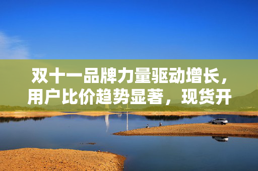 双十一品牌力量驱动增长，用户比价趋势显著，现货开售助力销售高峰
