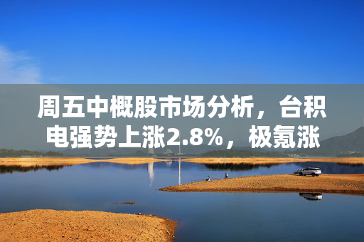 周五中概股市场分析，台积电强势上涨2.8%，极氪涨幅约25%