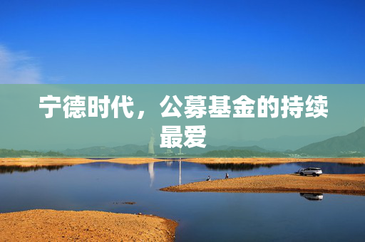 宁德时代，公募基金的持续最爱