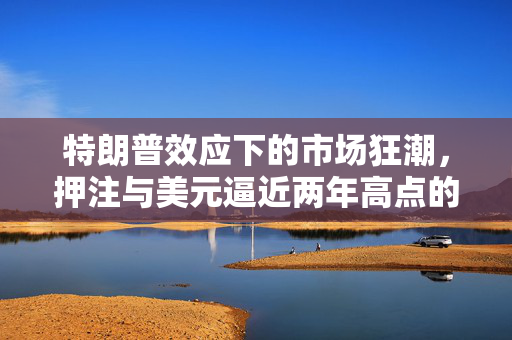 特朗普效应下的市场狂潮，押注与美元逼近两年高点的深度解读