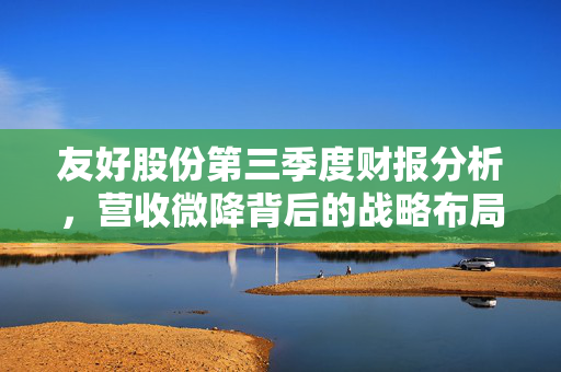 友好股份第三季度财报分析，营收微降背后的战略布局与未来展望展望