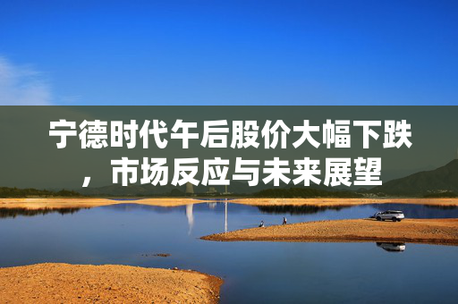 宁德时代午后股价大幅下跌，市场反应与未来展望