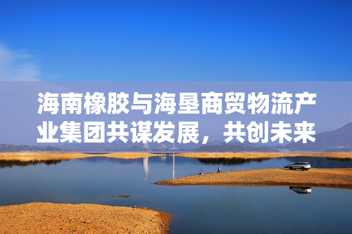海南橡胶与海垦商贸物流产业集团共谋发展，共创未来座谈会