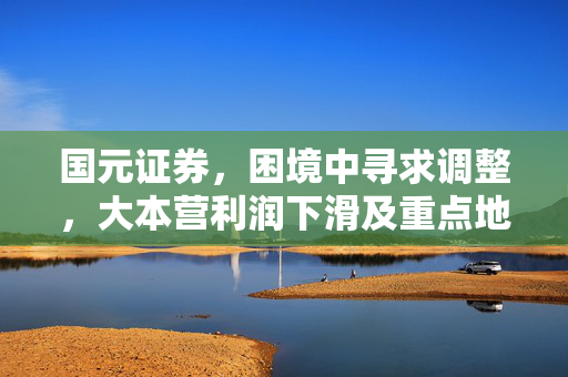 国元证券，困境中寻求调整，大本营利润下滑及重点地区亏损的挑战