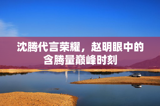 沈腾代言荣耀，赵明眼中的含腾量巅峰时刻