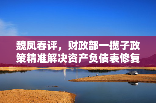 魏凤春评，财政部一揽子政策精准解决资产负债表修复关键问题，积极评价其切中肯綮之举