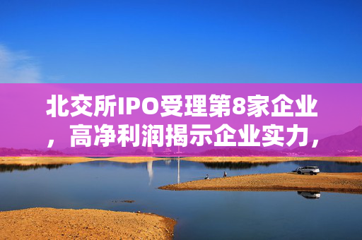 北交所IPO受理第8家企业，高净利润揭示企业实力，门槛是否真的在提高？