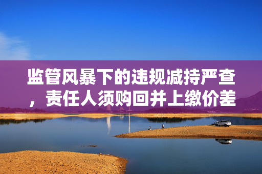 监管风暴下的违规减持严查，责任人须购回并上缴价差